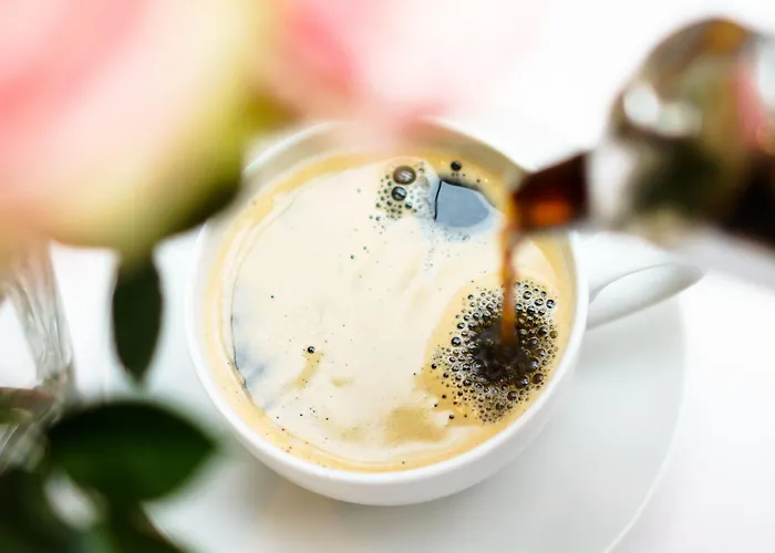 Hotel &repeat Airport Kolonia